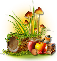 őszi állatok_149.png